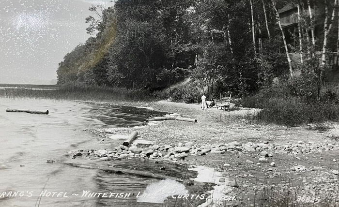 Curtis - Vintage Postcard